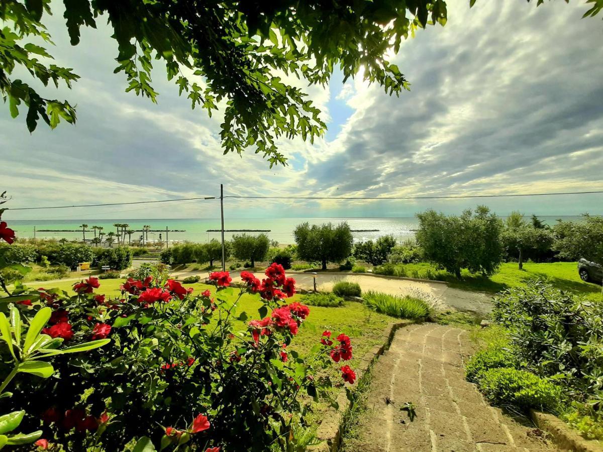 Bio Agriturismo Mare In Campagna Campofilone Exterior photo
