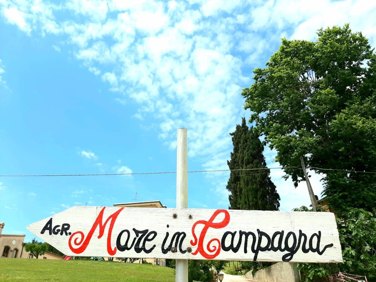 Bio Agriturismo Mare In Campagna Campofilone Exterior photo