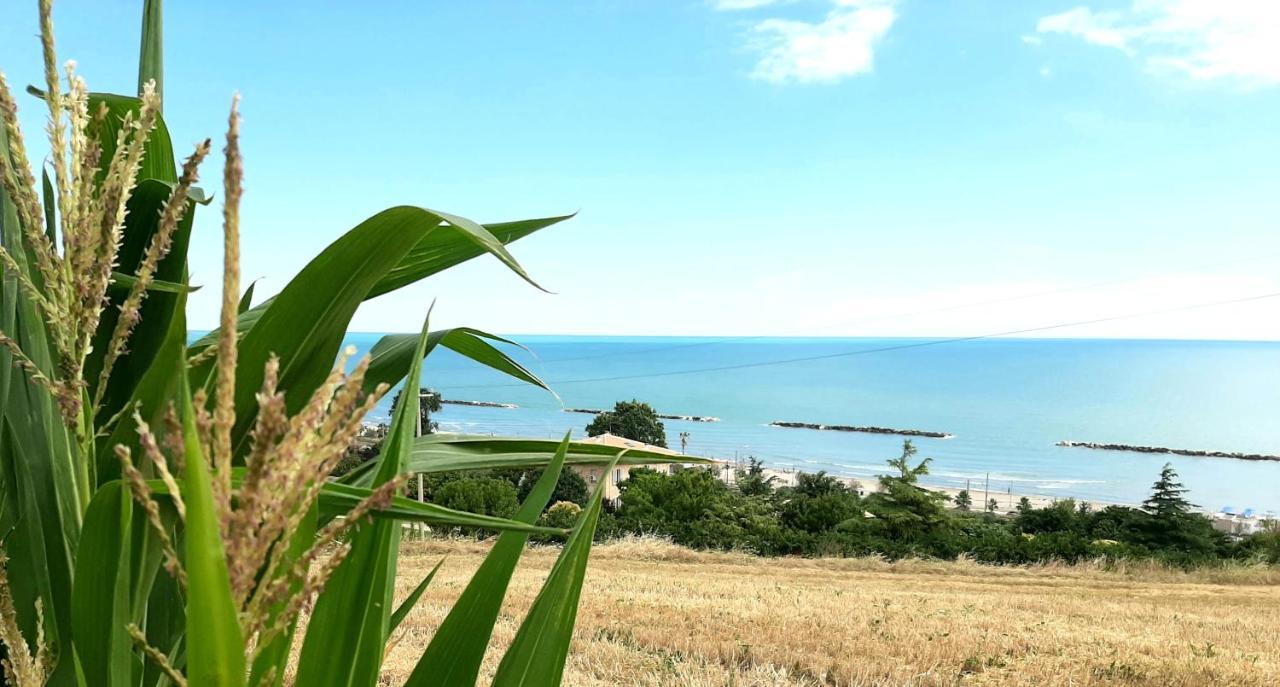 Bio Agriturismo Mare In Campagna Campofilone Exterior photo